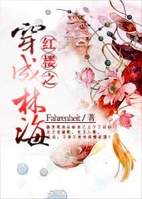 红楼之穿成林海百度