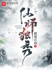 仙师无敌顶点